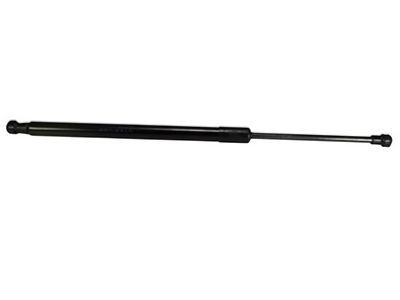 Ford Tailgate Lift Support - 2L1Z-78406A11-BA