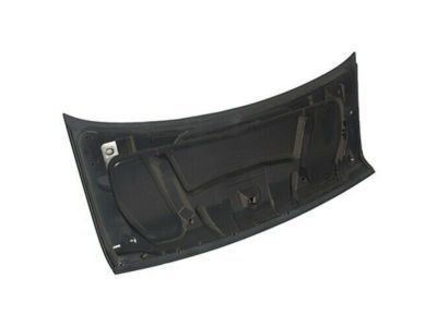 Ford 2C2Z-16612-AA Hood Assembly