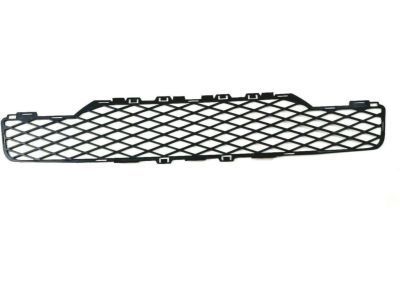 Ford 6S4Z-8200-AA Grille - Radiator