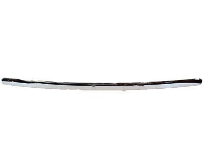 Ford 6L2Z-16856-AA Moulding - Front Body Panel