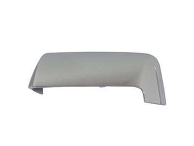 2015 Ford Expedition Mirror Cover - 7L7Z-17D743-AC