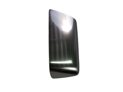 Ford 6L2Z-17D743-CA Cover - Mirror Housing