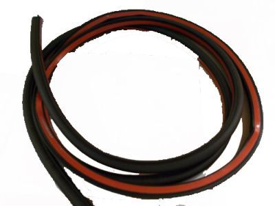 Ford BM5Z-5820708-D Weatherstrip Assembly - Door Opening