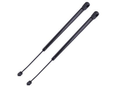 Ford Mustang Tailgate Lift Support - F4ZZ-63406A10-A