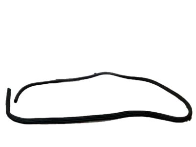 Ford BL3Z-16253A10-A Weatherstrip Assembly - Door Opening