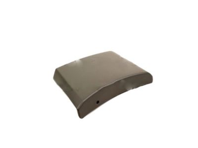 Ford 2L1Z-16A039-AAA Moulding