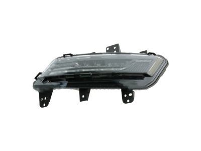Ford DP5Z-15A201-D Lamp Assembly