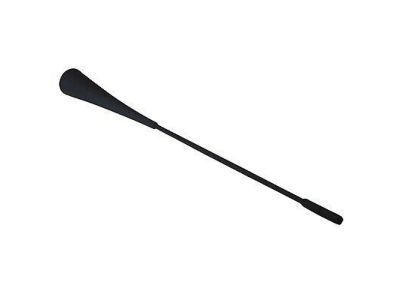 Ford Mustang Antenna - AR3Z-18813-A