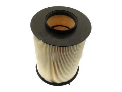 Ford CV6Z-9601-A Air Cleaner Element Assembly