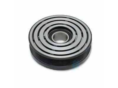 Lincoln A/C Idler Pulley - YW4Z-19D784-AA