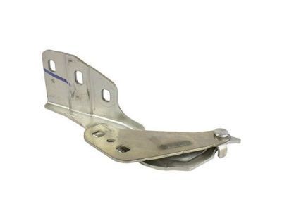 Ford DP5Z-16796-A Hinge Assembly - Hood