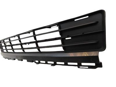 Ford 5L7Z-17D635-AAC Grille - Bumper