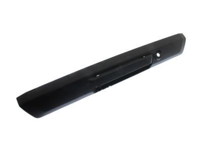 Ford F-250 Super Duty Tailgate Handle - HC3Z-9943400-BB