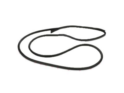 2018 Ford E-250 Weather Strip - 4C2Z-1520531-AA