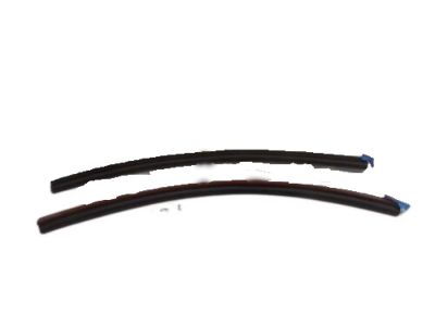 Ford 5S4Z-5425324-A Weatherstrip - Door - Lower