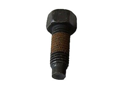Ford -389665-S100 Bolt