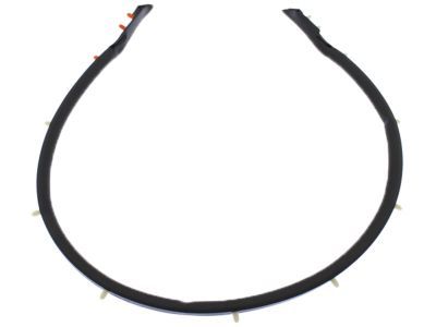 2018 Ford Mustang Weather Strip - FR3Z-16A238-C