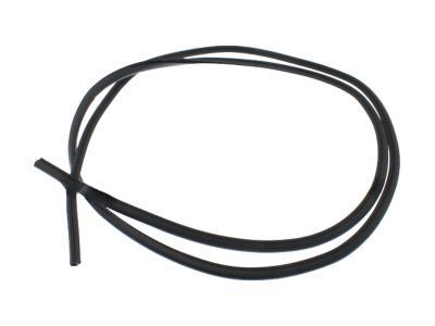 Lincoln Town Car Weather Strip - 5W1Z-5420709-AA