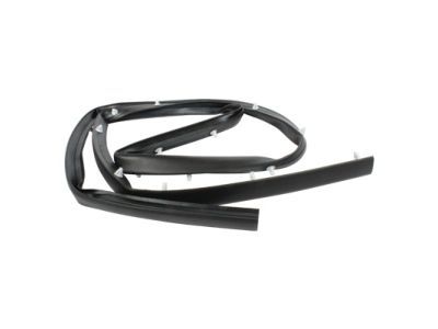Ford 8A8Z-7420758-A Weatherstrip - Door - Lower