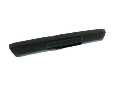 Ford F-250 Super Duty Tailgate Handle - HC3Z-9943400-NB