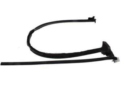 Ford 9C3Z-28253A11-A Weatherstrip Assembly - Door Opening