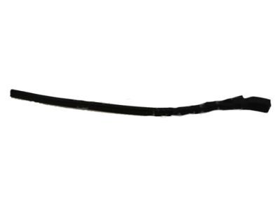 Ford 2L1Z-7851693-AB Moulding - Roof Drip Rail Finish