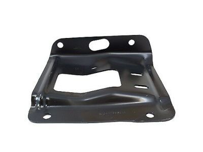Ford BC3Z-17B985-A Plate - Bumper Mounting