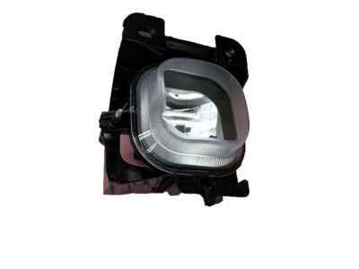 Ford 4L5Z-15200-BB Lamp Assembly - Fog - Front