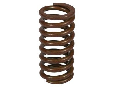 Ford 1L3Z-7F285-AA Spring