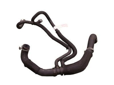 2004 Ford F53 Stripped Chassis Radiator Hose - F81Z-8286-BB