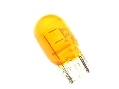 Ford DT1Z-13466-A Bulb And Socket Assembly