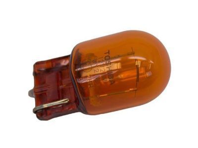 Ford DT1Z-13466-A Bulb And Socket Assembly