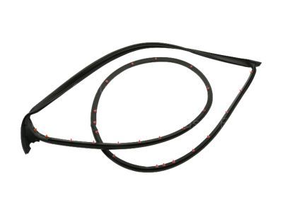 Ford 8G1Z-5420531-A Weatherstrip Assembly - Door Window