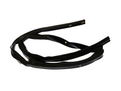 Ford 8L2Z-78253A45-A Weatherstrip - Door - Lower