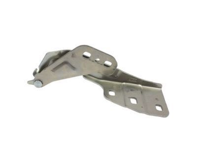 Ford DP5Z-16797-A Hinge Assembly - Hood