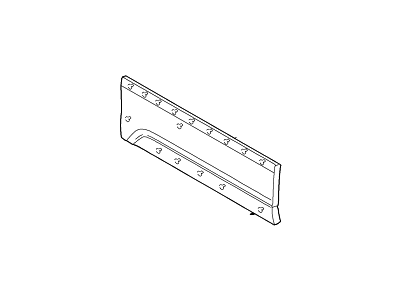 Ford 4L7Z-7820879-AAC Panel