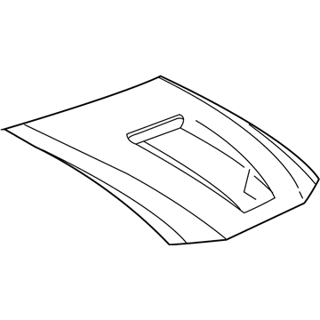 Ford 1R3Z-16612-AA Hood Assembly
