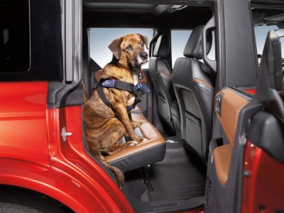 Ford Covercraft Small 1 Pet Harness VM1PZ-78600E-03A