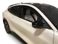 Ford Deflectors - VMK9Z18246A