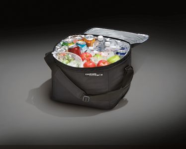Ford AE5Z-19H484-A Cargo Organizer - Soft - Sided Cooler Bag W/Adjustable Carrying Strap