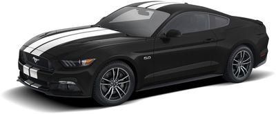 Ford Graphics Kit - 10 In. Wide Dual Over - the - Top Stripes, Gloss White VGR3Z-6320000-C