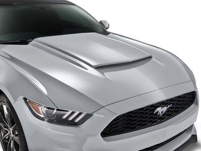 Ford Scoop - Hood, Ingot Silver VHR3Z-16C630-AA