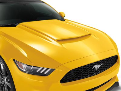 Ford Scoop - Hood, Triple Yellow VHR3Z-16C630-AD