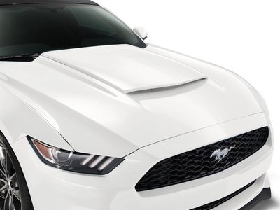 Ford Scoop - Hood, White Platinum VHR3Z-16C630-AJ