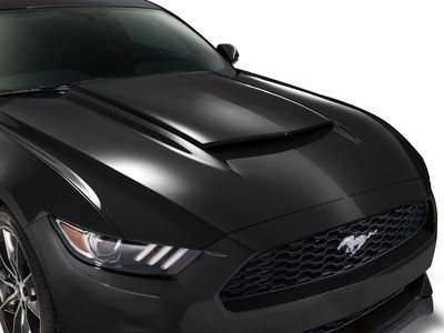 Ford Scoop - Hood, Shadow Black VHR3Z-16C630-AK