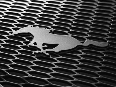 Ford Black 4pc All Weather Floor Liner Tray with Pony Logo HR3Z-6313300-AA