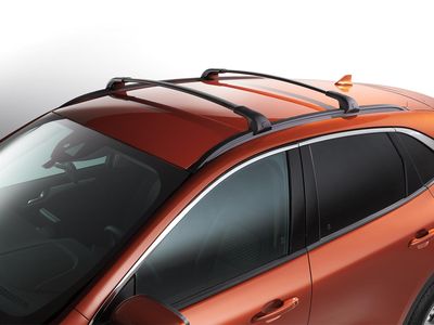 Ford Cross Bars 2pc Set LJ6Z-7855100-AA