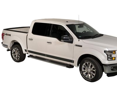 Ford Graphics, Stripes, and Trim Kits - Black Platinum Stainless Steel Rocker Molding Kit, Regular Cab w/6.5' Bed VFL3Z-5420049-D