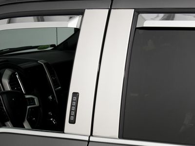 Ford Graphics, Stripes, and Trim Kits - Pillar Trim - Bright Stainless Steel, Super Cab and SuperCrew, With Keypad VFL3Z-9920554-H