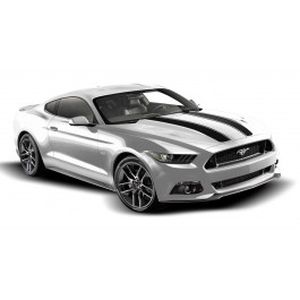 Ford Graphics, Stripes, and Trim Kits - Custom Stripe Kit, Dual Hood Stripe, Matte Black VFR3Z-6320000-E